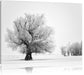 Bäume im Schnee Nebel Leinwandbild