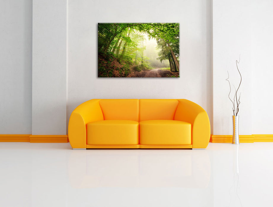 Sonnenstrahlen Waldweg Leinwandbild über Sofa
