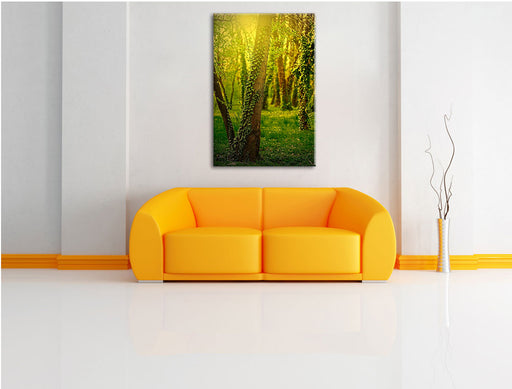 Bäume und Efeu Leinwandbild über Sofa