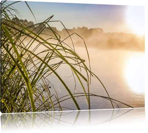 Schilf am See Leinwandbild