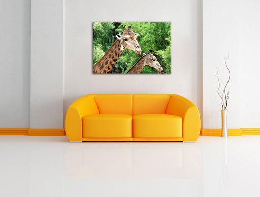 Giraffen Leinwandbild über Sofa