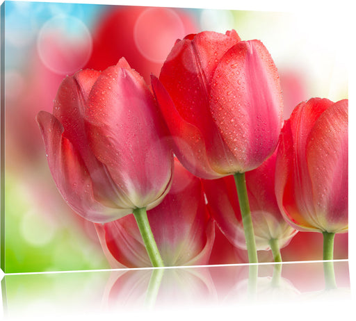 Rote Tulpen Leinwandbild