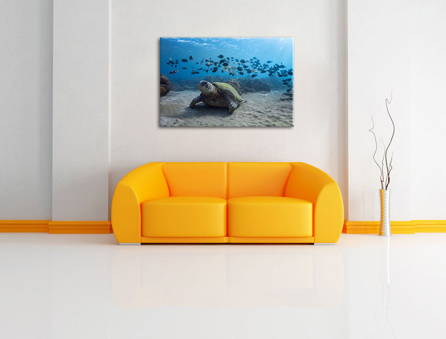 Schildkröte am Meeresboden Leinwandbild über Sofa