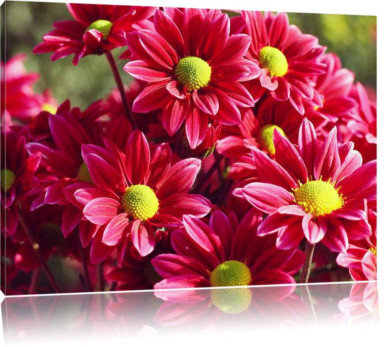 Pixxprint Rote Blüten, Leinwandbild