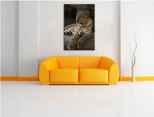 Majestäischer Leopard Leinwandbild über Sofa