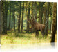 Hirsch im Wald Leinwandbild