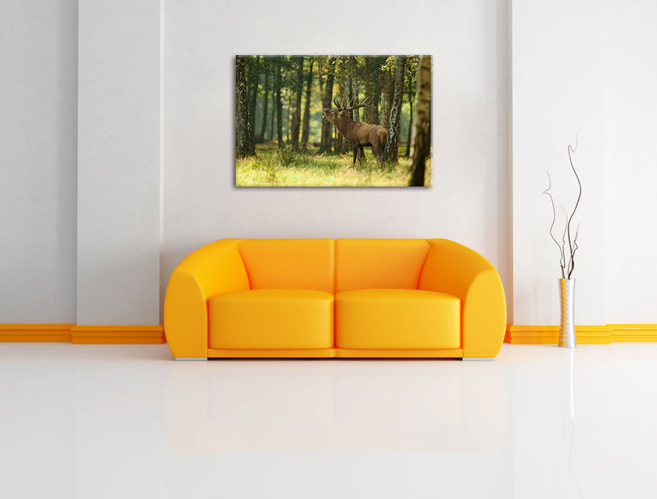 Hirsch im Wald Leinwandbild über Sofa