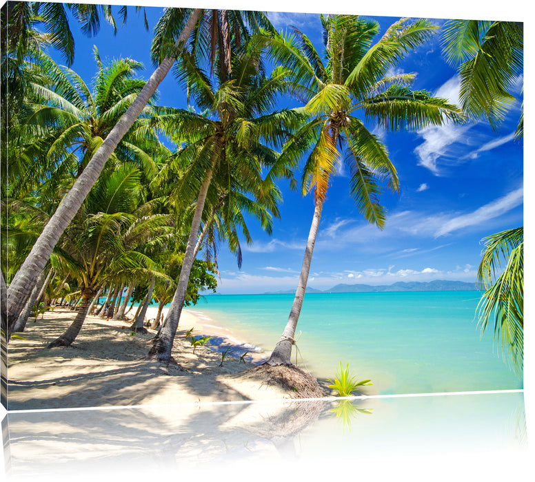 Pixxprint Palmen Traumstrand, Leinwandbild