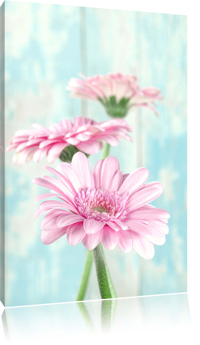 Pixxprint Gerberas, Leinwandbild