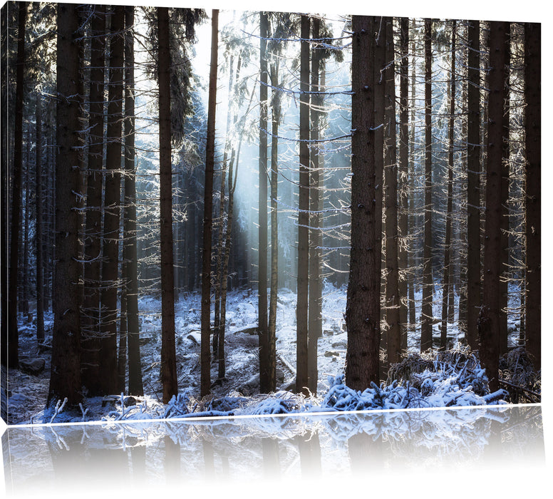 Pixxprint Winterwald, Leinwandbild