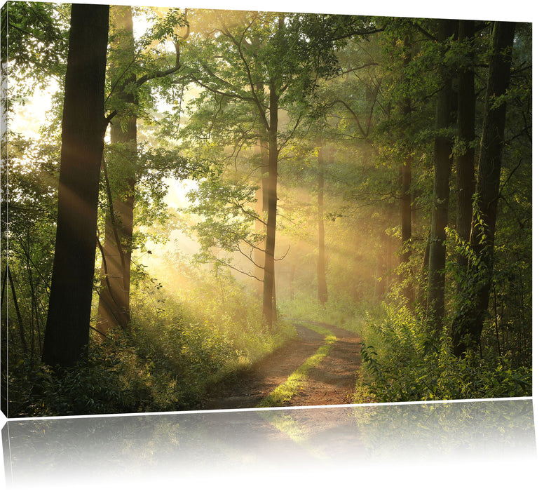 Pixxprint Waldweg, Leinwandbild