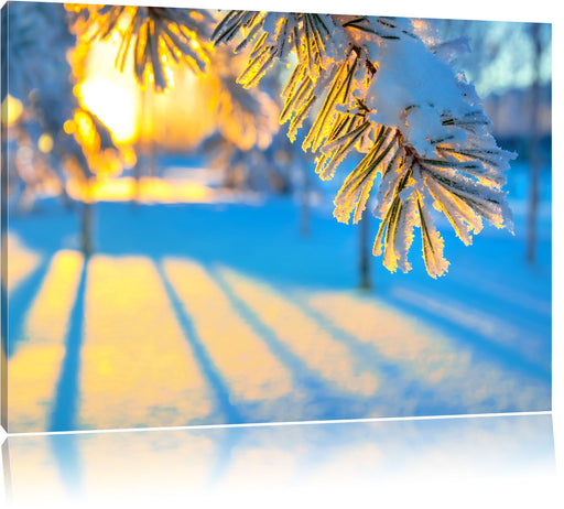 Äste im Frost Leinwandbild