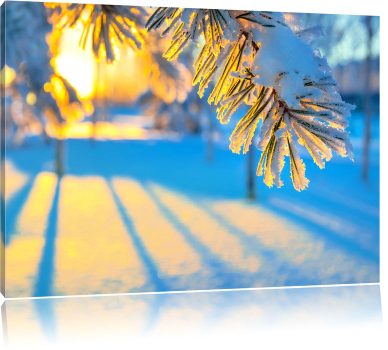 Pixxprint Äste im Frost, Leinwandbild