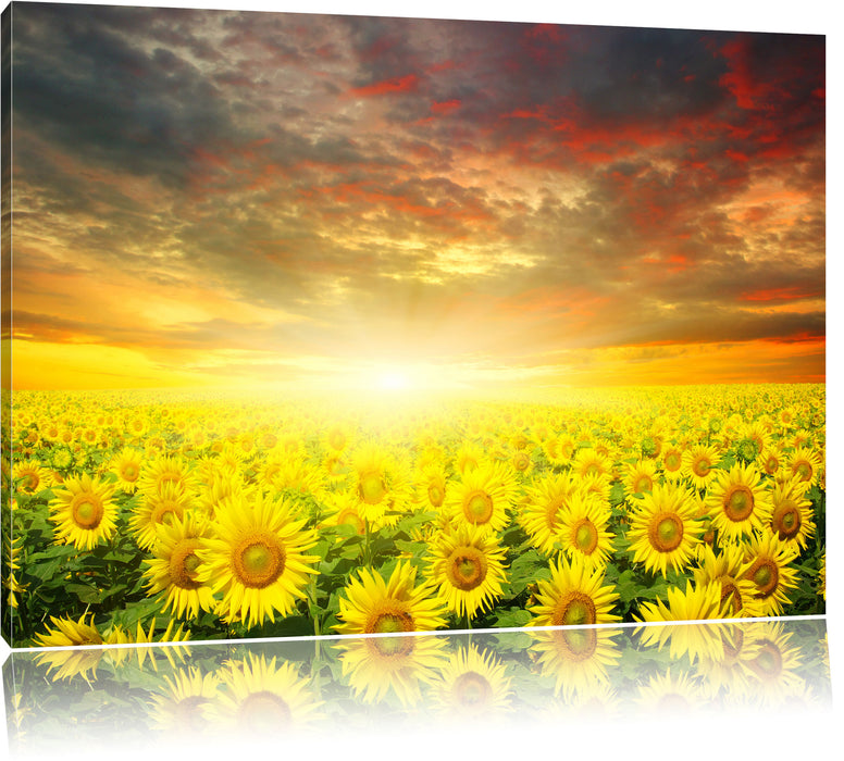 Pixxprint Sonnenblumenfeld, Leinwandbild