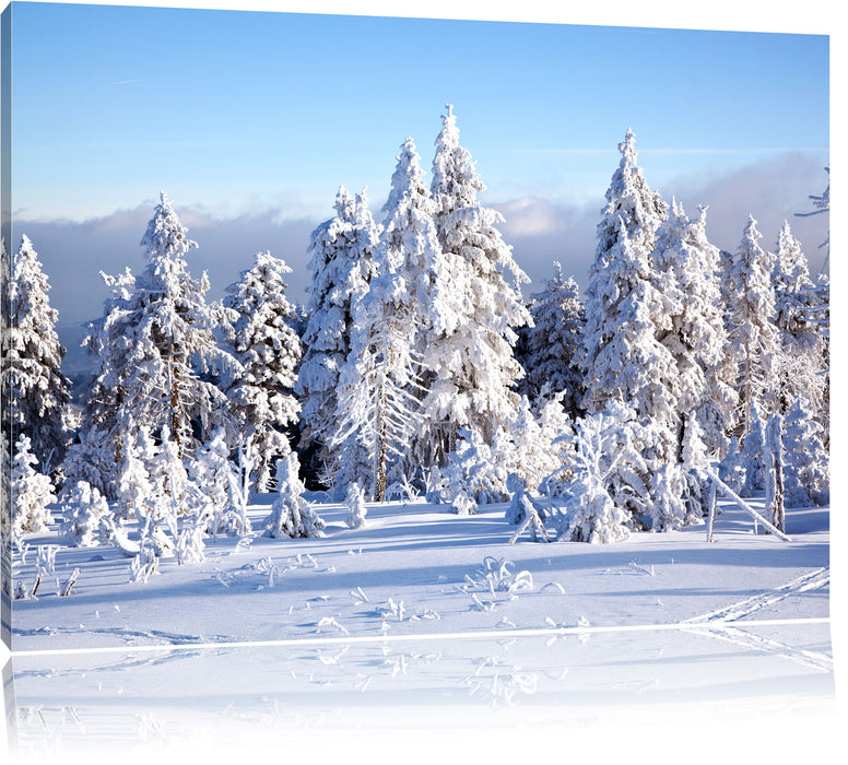Pixxprint Winterwald, Leinwandbild