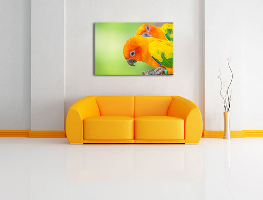 Papageienpärchen Leinwandbild über Sofa