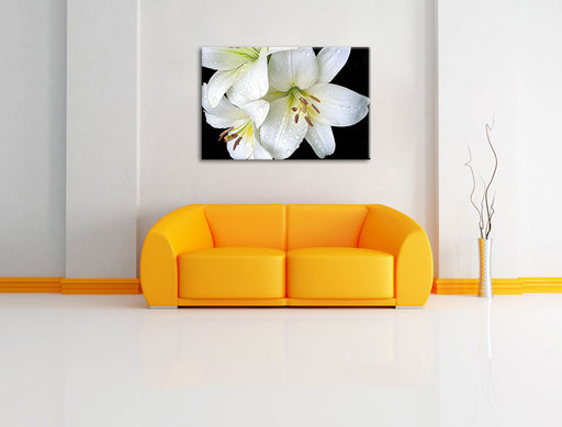 Dark Blüte schwarz-Weiß Leinwandbild über Sofa