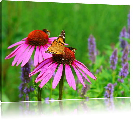 Schmetterling auf Blüte Leinwandbild