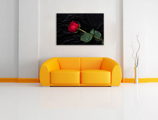 Rose Leinwandbild über Sofa