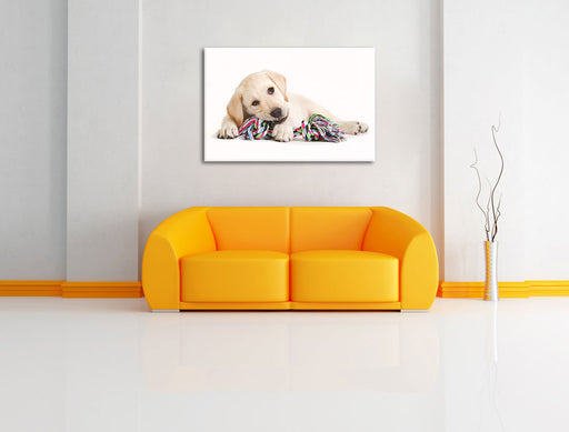 Hundewelpe Leinwandbild über Sofa
