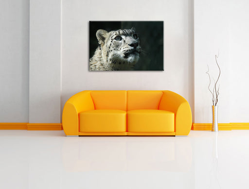 Leopard Leinwandbild über Sofa