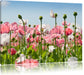 Blumenwiese Mohnblumen Leinwandbild