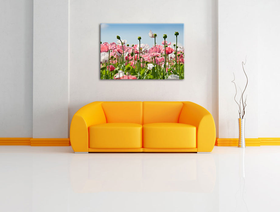 Blumenwiese Mohnblumen Leinwandbild über Sofa