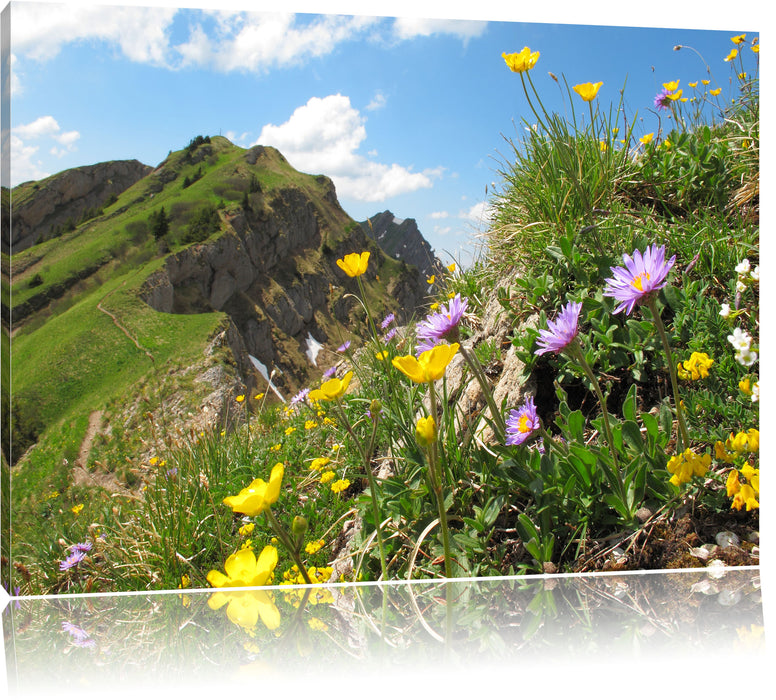 Pixxprint Blumenwiese im Frühling, Leinwandbild