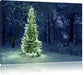 Leuchtender Weihnachtsbaum Leinwandbild