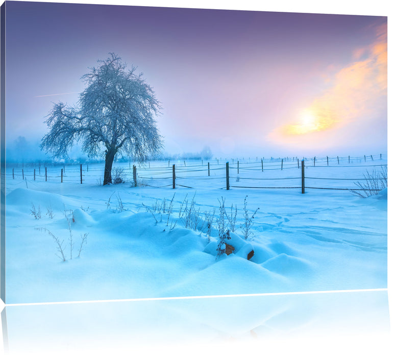 Pixxprint Baum in Winterlandschaft, Leinwandbild