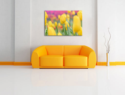Gelbe Tulpen im Frühling Leinwandbild über Sofa