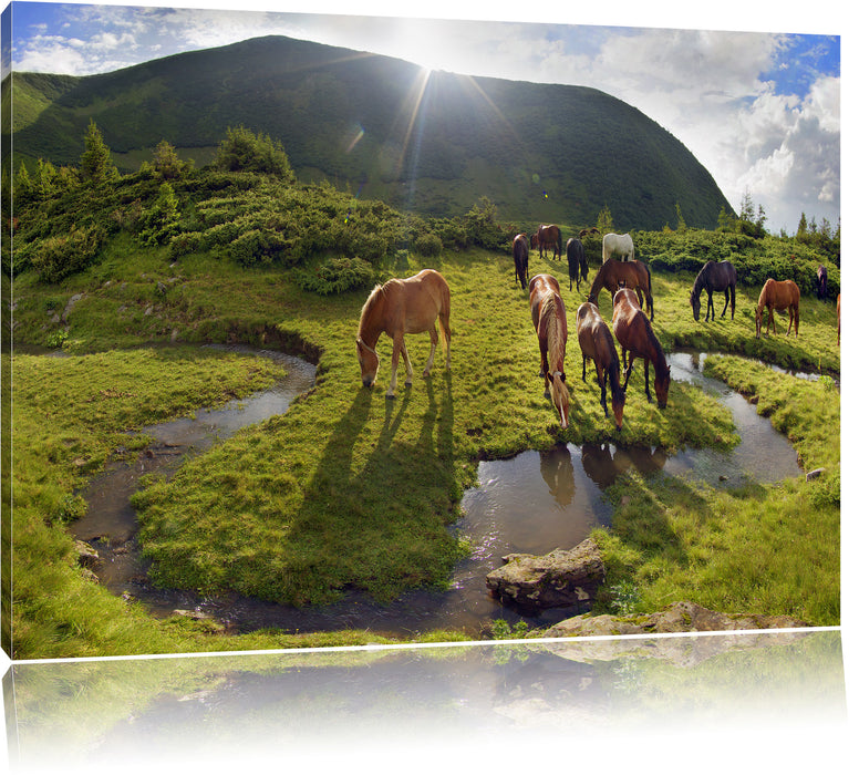 Pixxprint Pferde auf Wiese, Leinwandbild