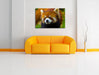 Roter Pandabär auf Ast Leinwandbild über Sofa