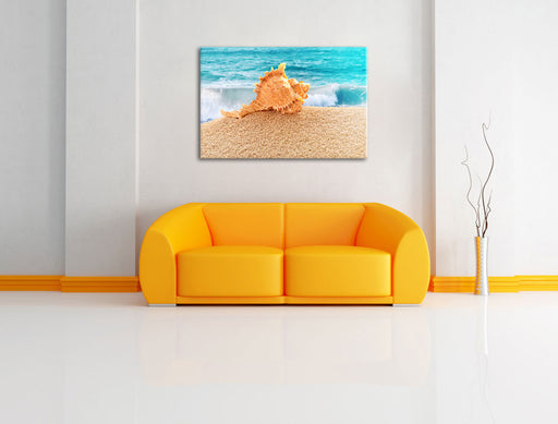 Muschel am Strand Leinwandbild über Sofa