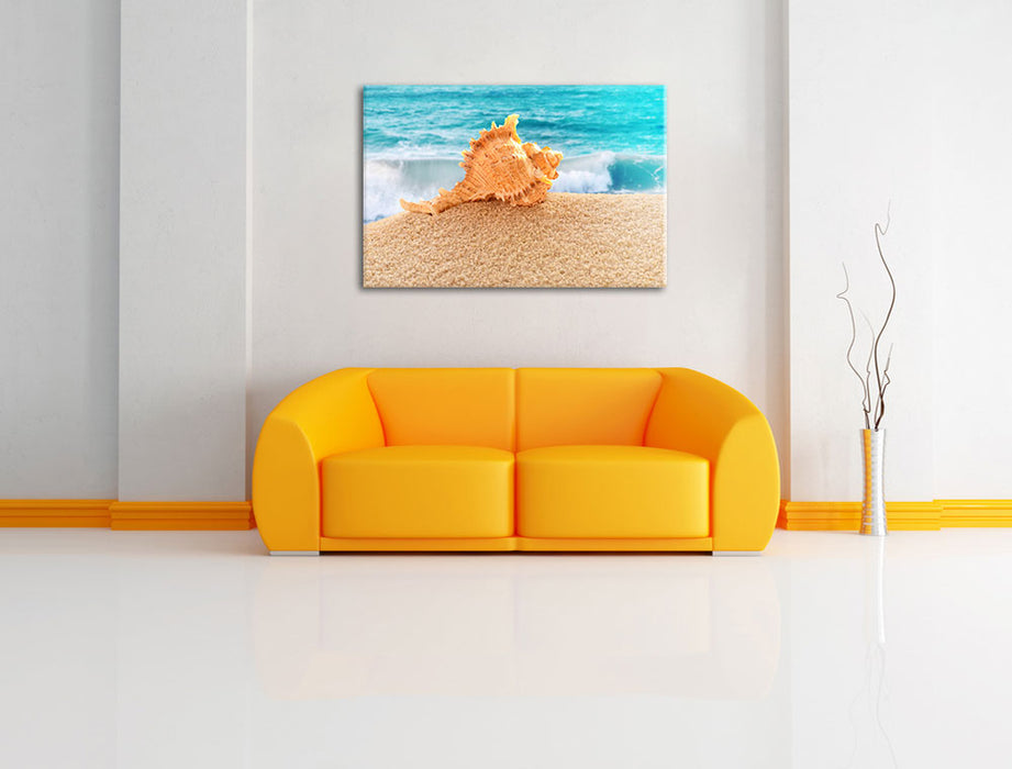 Muschel am Strand Leinwandbild über Sofa