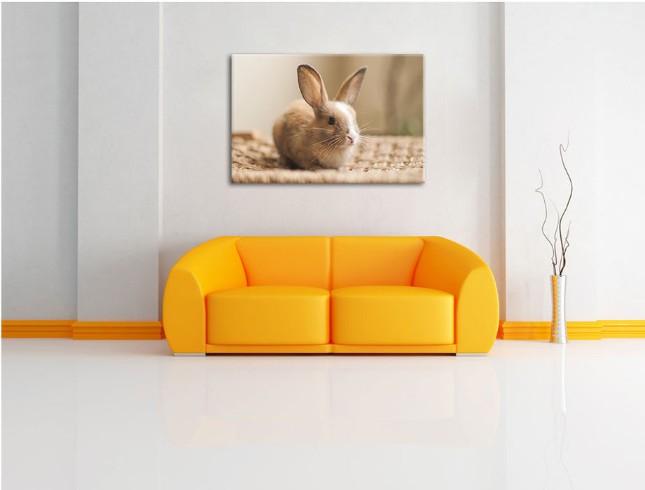 Süßes Kaninchen Leinwandbild über Sofa