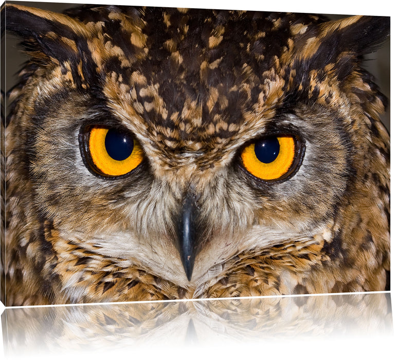 Pixxprint Eule mit gelben Augen, Leinwandbild