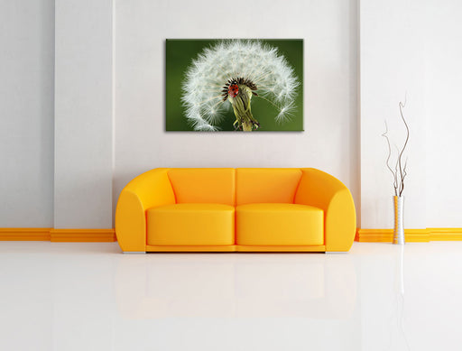 Marienkäfer auf Pusteblume Leinwandbild über Sofa