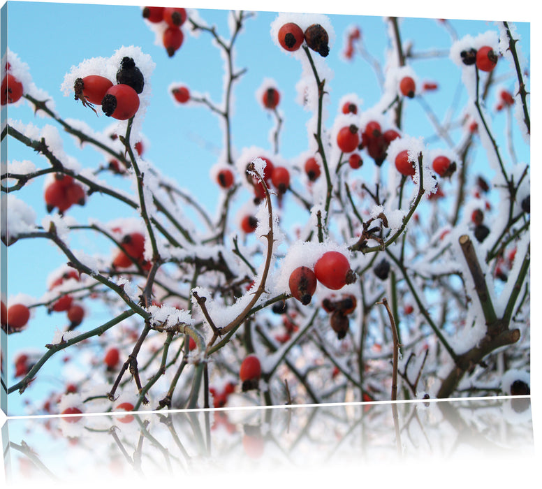 Pixxprint Hagebuttenstrauch mit rot, Leinwandbild