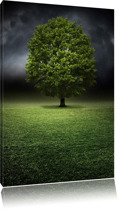 Pixxprint einzelner Baum auf grüner Wiese, Leinwandbild
