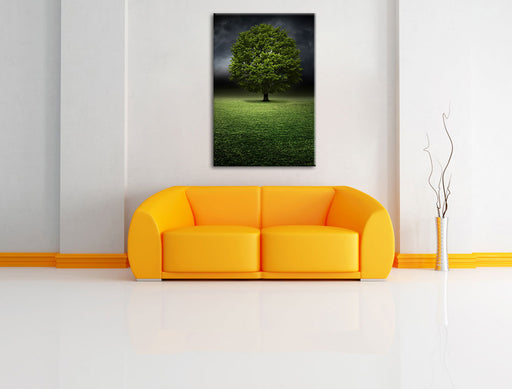 einzelner Baum auf grüner Wiese Leinwandbild über Sofa
