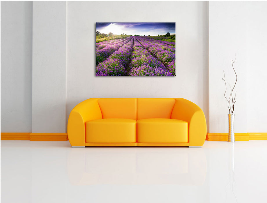 Lavendelfeld Provence Leinwandbild über Sofa