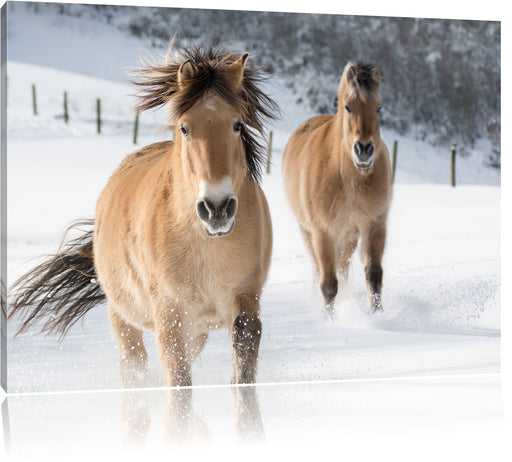 Pferd im Schnee Leinwandbild