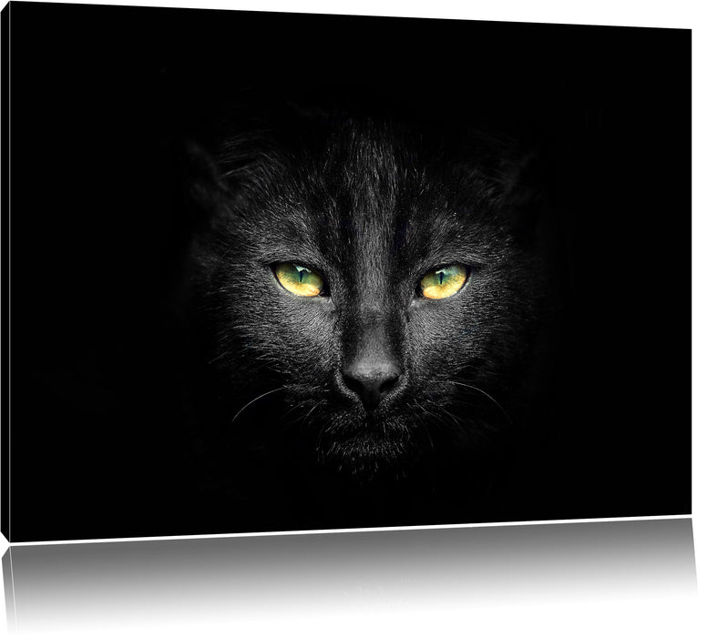 Pixxprint Dark schwarzes Katzengesicht, Leinwandbild