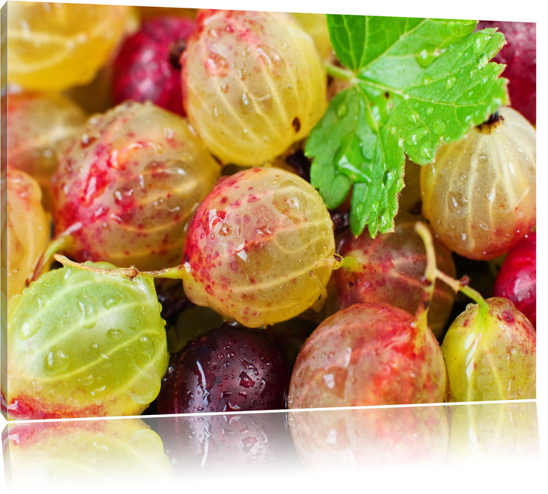 Pixxprint Leckere Stachelbeeren, Leinwandbild