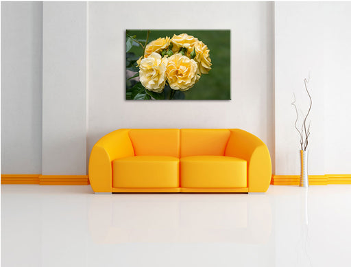Weiß gelbe Rose Blumen Leinwandbild über Sofa