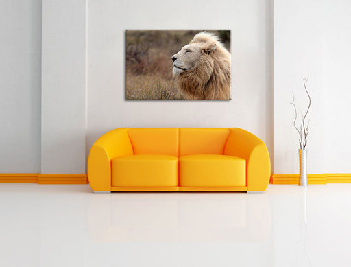 Weißer Löwe im Gebirge Leinwandbild über Sofa
