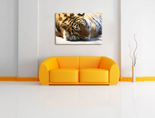 Verschlafener Tiger Leinwandbild über Sofa