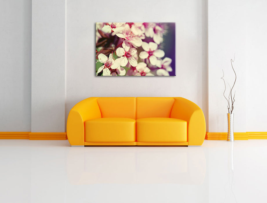 Kirschblüten Retro Leinwandbild über Sofa