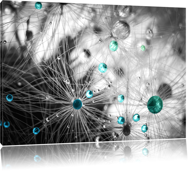 Pixxprint Wassertropfen auf Pusteblume, Leinwandbild